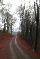 /album/bildgalleri/imag1480-11-jpg/